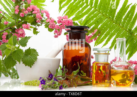 Die aromatischen Kräuter mit Mörtel. Alternative Medizin. Natürliche pflanzliche Produkte - Homöopathie. Stockfoto
