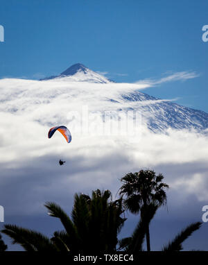 Gleitschirm fliegen hoch in den Wolken mit einem großen Berg im Hintergrund und Palmen im Vordergrund. Stockfoto