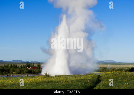 Strokkur ist ein Geysir in Island. Erstaunlich natürliche Schönheit. Berühmte Touristenattraktion Stockfoto