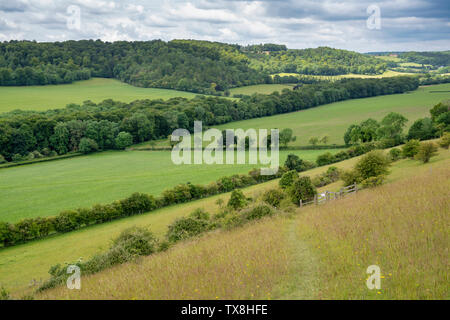 Landschaft neben Turville Dorf in der Chiltern Hills. Buckinghamshire, England Stockfoto