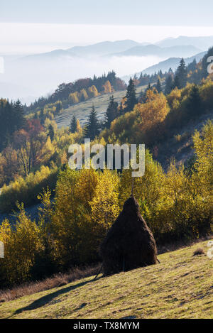 Ländliche Landschaft im Herbst. Das Heu für den Winter. Heuballen auf einem Berg Wiese. Sonnigen morgen im Dorf. Karpaten, Ukraine, Europa Stockfoto