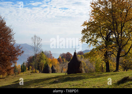 Ländliche Landschaft im Herbst. Das Heu für den Winter. Heuballen auf einem Berg Wiese. Sonnigen morgen im Dorf. Karpaten, Ukraine, Europa Stockfoto