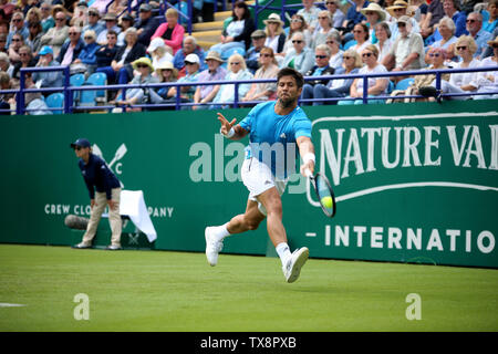 Eastbourne, Großbritannien. 24. Juni, 2019. Fernando Verdasco aus Spanien während seiner Mens Singles Match gegen John millman von Australien an der Natur Tal International Eastbourne 2019, International Tennis, in Devonshire Park in Eastbourne am Montag, den 24. Juni 2019. Bitte beachten Sie die redaktionelle Nutzung nur. pic von Tom Smeeth/Andrew Orchard sport Fotografie./Alamy Live News Credit: Andrew Orchard sport Fotografie/Alamy leben Nachrichten Stockfoto