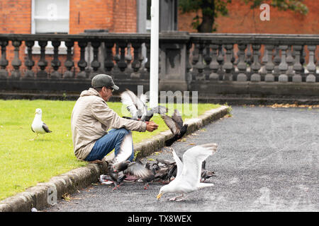 Ein Mann füttert Tauben in St Patrick's Park in Dublin, Irland. Stockfoto