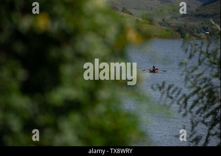 Ein Mann Reihen auf bezid See im Norden von Rumänien. Stockfoto