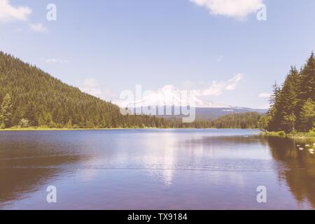 Schöne Aufnahme eines großen Flusses in einem Wald mit Hügel und Bäume auf beiden Seiten Stockfoto