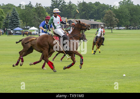 Oak Brook, Illinois, USA. 23. Juni 2019. Die Mexiko internationale Polo Club konkurriert mit dem Oak Brook Polo Club, der Butler Challenge Cup am Sonntag, 23. Juni 2019 in Oak Brook, Illinois (ein Vorort von Chicago) gehostet werden. Endstand war 8 bis 6 mit Oak Brook verdienen den Gewinnen. Die Michael Butler Familie war an Hand der Trophäe zu präsentieren. Credit: Karen I. Hirsch/ZUMA Draht/Alamy leben Nachrichten Stockfoto