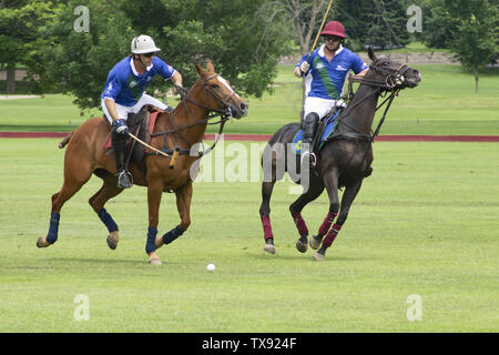 Juni 23, 2019 - Oak Brook, Illinois, USA - Mexiko internationale Polo Club konkurriert mit dem Oak Brook Polo Club, der Butler Challenge Cup am Sonntag, 23. Juni 2019 in Oak Brook, Illinois (ein Vorort von Chicago) gehostet werden. Endstand war 8 bis 6 mit Oak Brook verdienen den Gewinnen. Die Michael Butler Familie war an Hand der Trophäe zu präsentieren. (Bild: © Karen I. Hirsch/ZUMA Draht) Stockfoto