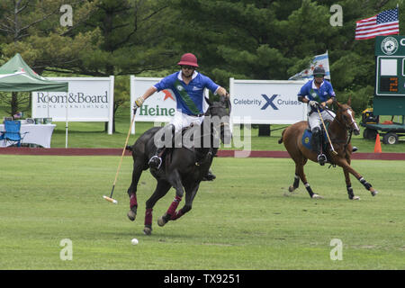 Oak Brook, Illinois, USA. 23. Juni 2019. Die Mexiko internationale Polo Club konkurriert mit dem Oak Brook Polo Club, der Butler Challenge Cup am Sonntag, 23. Juni 2019 in Oak Brook, Illinois (ein Vorort von Chicago) gehostet werden. Endstand war 8 bis 6 mit Oak Brook verdienen den Gewinnen. Die Michael Butler Familie war an Hand der Trophäe zu präsentieren. Credit: Karen I. Hirsch/ZUMA Draht/Alamy leben Nachrichten Stockfoto