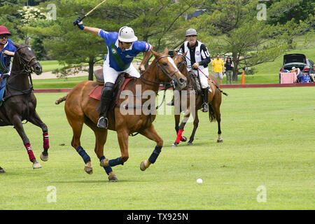 Oak Brook, Illinois, USA. 23. Juni 2019. Die Mexiko internationale Polo Club konkurriert mit dem Oak Brook Polo Club, der Butler Challenge Cup am Sonntag, 23. Juni 2019 in Oak Brook, Illinois (ein Vorort von Chicago) gehostet werden. Endstand war 8 bis 6 mit Oak Brook verdienen den Gewinnen. Die Michael Butler Familie war an Hand der Trophäe zu präsentieren. Im Bild: Oak Brook player Adressen die Kugel Credit: Karen I. Hirsch/ZUMA Draht/Alamy leben Nachrichten Stockfoto