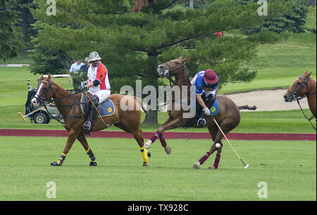 Oak Brook, Illinois, USA. 23. Juni 2019. Die Mexiko internationale Polo Club konkurriert mit dem Oak Brook Polo Club, der Butler Challenge Cup am Sonntag, 23. Juni 2019 in Oak Brook, Illinois (ein Vorort von Chicago) gehostet werden. Endstand war 8 bis 6 mit Oak Brook verdienen den Gewinnen. Die Michael Butler Familie war an Hand der Trophäe zu präsentieren. Credit: Karen I. Hirsch/ZUMA Draht/Alamy leben Nachrichten Stockfoto