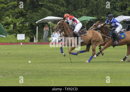 Juni 23, 2019 - Oak Brook, Illinois, USA - Mexiko internationale Polo Club konkurriert mit dem Oak Brook Polo Club, der Butler Challenge Cup am Sonntag, 23. Juni 2019 in Oak Brook, Illinois (ein Vorort von Chicago) gehostet werden. Endstand war 8 bis 6 mit Oak Brook verdienen den Gewinnen. Die Michael Butler Familie war an Hand der Trophäe zu präsentieren. (Bild: © Karen I. Hirsch/ZUMA Draht) Stockfoto