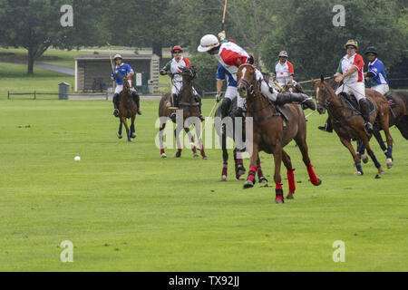 Juni 23, 2019 - Oak Brook, Illinois, USA - Mexiko internationale Polo Club konkurriert mit dem Oak Brook Polo Club, der Butler Challenge Cup am Sonntag, 23. Juni 2019 in Oak Brook, Illinois (ein Vorort von Chicago) gehostet werden. Endstand war 8 bis 6 mit Oak Brook verdienen den Gewinnen. Die Michael Butler Familie war an Hand der Trophäe zu präsentieren. (Bild: © Karen I. Hirsch/ZUMA Draht) Stockfoto