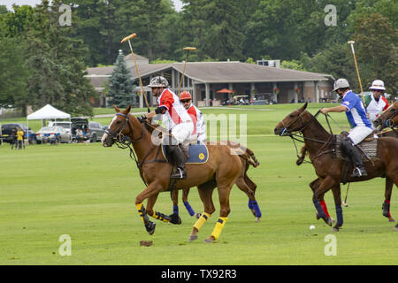 Juni 23, 2019 - Oak Brook, Illinois, USA - Mexiko internationale Polo Club konkurriert mit dem Oak Brook Polo Club, der Butler Challenge Cup am Sonntag, 23. Juni 2019 in Oak Brook, Illinois (ein Vorort von Chicago) gehostet werden. Endstand war 8 bis 6 mit Oak Brook verdienen den Gewinnen. Die Michael Butler Familie war an Hand der Trophäe zu präsentieren. (Bild: © Karen I. Hirsch/ZUMA Draht) Stockfoto