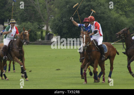 Juni 23, 2019 - Oak Brook, Illinois, USA - Mexiko internationale Polo Club konkurriert mit dem Oak Brook Polo Club, der Butler Challenge Cup am Sonntag, 23. Juni 2019 in Oak Brook, Illinois (ein Vorort von Chicago) gehostet werden. Endstand war 8 bis 6 mit Oak Brook verdienen den Gewinnen. Die Michael Butler Familie war an Hand der Trophäe zu präsentieren. (Bild: © Karen I. Hirsch/ZUMA Draht) Stockfoto