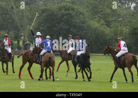 Juni 23, 2019 - Oak Brook, Illinois, USA - Mexiko internationale Polo Club konkurriert mit dem Oak Brook Polo Club, der Butler Challenge Cup am Sonntag, 23. Juni 2019 in Oak Brook, Illinois (ein Vorort von Chicago) gehostet werden. Endstand war 8 bis 6 mit Oak Brook verdienen den Gewinnen. Die Michael Butler Familie war an Hand der Trophäe zu präsentieren. (Bild: © Karen I. Hirsch/ZUMA Draht) Stockfoto