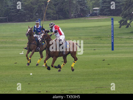 Oak Brook, Illinois, USA. 23. Juni 2019. Die Mexiko internationale Polo Club konkurriert mit dem Oak Brook Polo Club, der Butler Challenge Cup am Sonntag, 23. Juni 2019 in Oak Brook, Illinois (ein Vorort von Chicago) gehostet werden. Endstand war 8 bis 6 mit Oak Brook verdienen den Gewinnen. Die Michael Butler Familie war an Hand der Trophäe zu präsentieren. Credit: Karen I. Hirsch/ZUMA Draht/Alamy leben Nachrichten Stockfoto