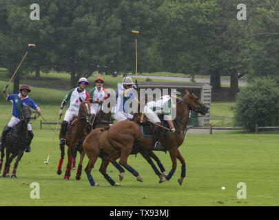 Juni 23, 2019 - Oak Brook, Illinois, USA - Mexiko internationale Polo Club konkurriert mit dem Oak Brook Polo Club, der Butler Challenge Cup am Sonntag, 23. Juni 2019 in Oak Brook, Illinois (ein Vorort von Chicago) gehostet werden. Endstand war 8 bis 6 mit Oak Brook verdienen den Gewinnen. Die Michael Butler Familie war an Hand der Trophäe zu präsentieren. (Bild: © Karen I. Hirsch/ZUMA Draht) Stockfoto