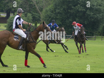 Juni 23, 2019 - Oak Brook, Illinois, USA - Mexiko internationale Polo Club konkurriert mit dem Oak Brook Polo Club, der Butler Challenge Cup am Sonntag, 23. Juni 2019 in Oak Brook, Illinois (ein Vorort von Chicago) gehostet werden. Endstand war 8 bis 6 mit Oak Brook verdienen den Gewinnen. Die Michael Butler Familie war an Hand der Trophäe zu präsentieren. (Bild: © Karen I. Hirsch/ZUMA Draht) Stockfoto