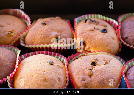 Einige frische, frisch gebackenen Muffins. Muffins mit Rosinen in bunten Formen. Stockfoto