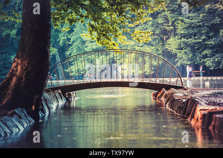 Bild von Little Foot Bridge über den See bei Sonnenuntergang Stockfoto