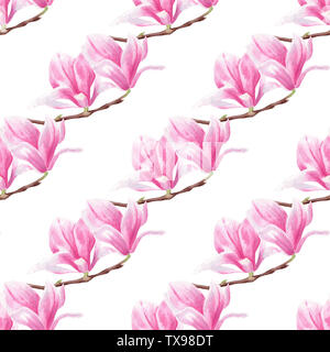 Magnolia Blumen auf Zweig hand Aquarell nahtlose Muster gezeichnet. Blumen blühen Raster Textur. Im Sommer blühen auf weißem Hintergrund. Rosa sanfte Fl Stockfoto