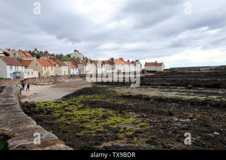 Cottages am schottischen Küstendorf Pittenweem in der Pfeife. Die Ferienhäuser liegen direkt am Wasser und Blick auf den Firth von weiter. Stockfoto