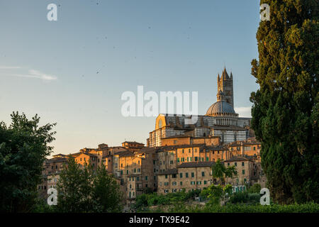 Am frühen Morgen Landschaft der Dom von Siena Stockfoto