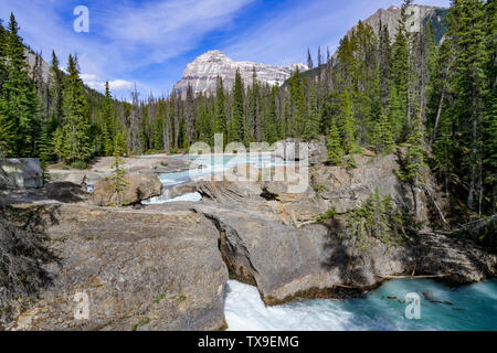 Natürliche Brücke, Kicking Horse River, Yoho National Park, British Columbia, Kanada Stockfoto