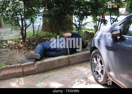 Ein Mann schläft unter Büschen, Sultanahmet, Istanbul. Stockfoto