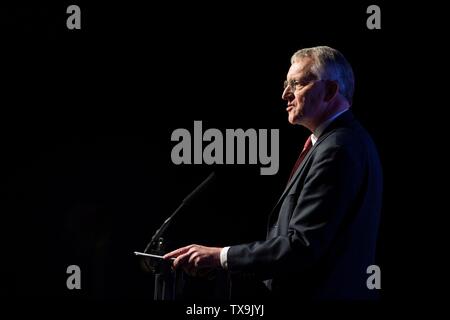 Bild von Chris Bull 22/06/19 Abstimmung Hilary Benn MP der Rallye im neuen Dock Hall, Leeds. www.chrisbullphotographer.com Stockfoto