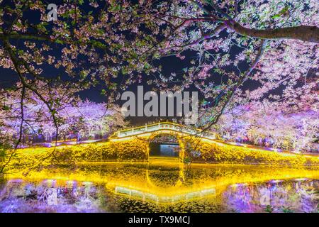 Touzhu nacht Kirsche, gepaart mit Changchun Brücke, die Brücke in der Nacht cherry Stockfoto