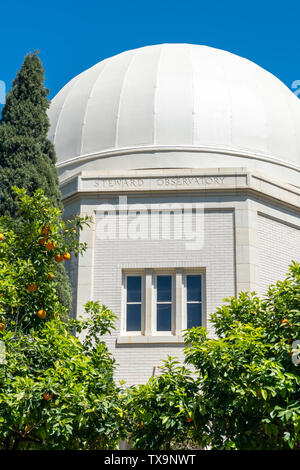 TUCSON, AZ/USA - 11. APRIL 2019: Observatorium Steward auf dem Campus der Universität von Arizona. Stockfoto