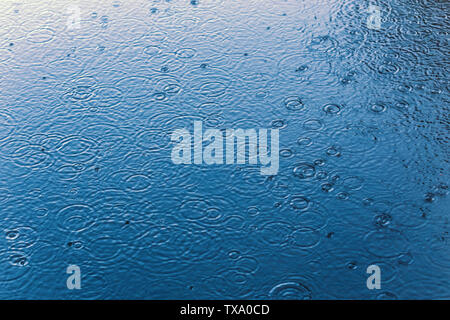 Regentropfen auf noch Wasser Oberfläche mit selektiver Schärfe und Unschärfe. Moody dunklen gedämpften Farben Hintergrund. Stockfoto