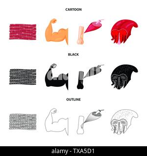 Isoliertes Objekt der Faser und muskulös Logo. Sammlung von Faser- und Körper vektor Symbol für das Lager. Stock Vektor