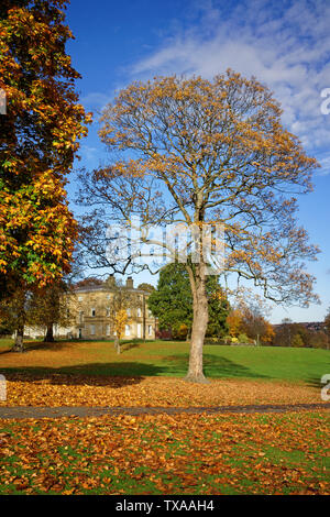 UK, South Yorkshire, Sheffield, Hillsborough Park & Hall Stockfoto