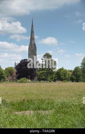 Die Kathedrale von Salisbury, Blick über Wiese Land im Sommer mit Bäumen und weißen Wolken. Stockfoto