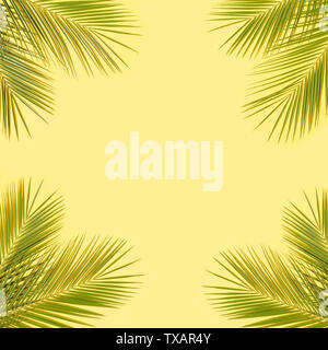 Green Palm Blätter auf gelbem Hintergrund Stockfoto