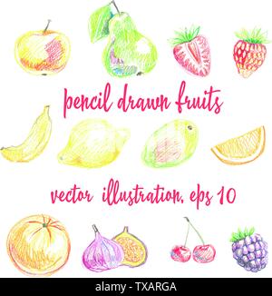 Satz von bleistiftzeichnungen Früchte und Beeren. Freihandzeichnen Stock Vektor