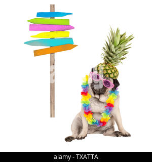 Sommer mops Hund unten mit bunten Hawaiian Flower Garland sitzend, rosa Sonnenbrille und Ananas hat, neben Holz- Strand Schild auf der Pole, isoliert Stockfoto