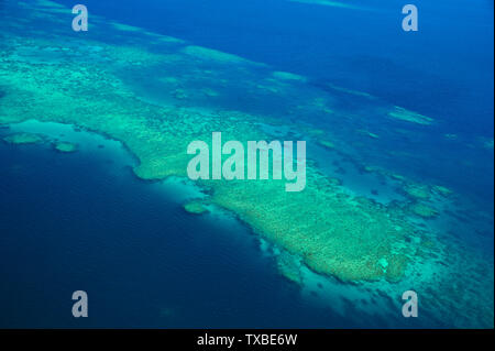 Great Barrier Reef, Korallenriff, Insel, Overhead, Luftaufnahmen Panoramaaussicht Stockfoto