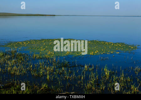 Landschaft der Gen River Wetland Prairie, hulunbuir City, Innere Mongolei Stockfoto