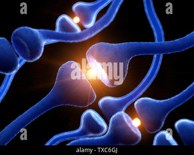 3D-gerenderte Medizinisch genaue Abbildung der menschlichen Rezeptoren Stockfoto