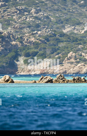 Atemberaubende Aussicht auf die schöne Cavalieri Strand (Spiaggia di Cavalieri) vom türkisfarbenen Meer gebadet. Maddalena Archipelago National Park, Sardinien. Stockfoto