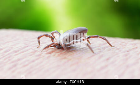 Gerenderten 3D-Bild von einer Zecke gebissen Stockfoto