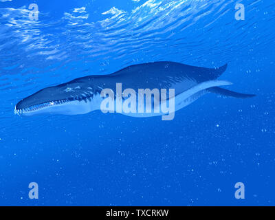 3D-Darstellung eines Liopleurodon Stockfoto