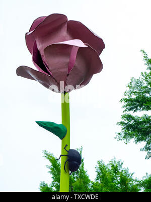 Skulptur Rose auf 65th Street von Will Ryman auf öffentliche Anzeige außerhalb der ersten Art Museum Nashville, Tennessee. Stockfoto