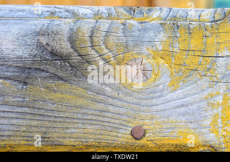 Gelb lackierten Holz Textur Hintergrund. Shabby Chic Stil. Alte ländliche Holzwand, detaillierte Plank foto Textur. Stockfoto