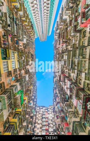 Quarry Bay Monster Gebäude konkrete Wald, Hong Kong Stockfoto