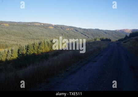 Der Loch Lomond und Cowal Weg. Halbinsel Cowal. Hochland. Schottland. Großbritannien Stockfoto